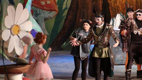 У Житомирі дитяча вистава "Дюймовочка" збирає аншлаг на сайті 20minut.ua У Житомирі дитяча вистава "Дюймовочка" збирає аншлаг, фото №4 на сайті 20minut.ua