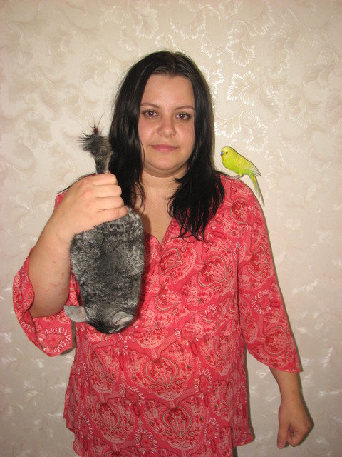 Шиншила спить у рукаві, каже тернополянка, фото №1 на сайті 20minut.ua