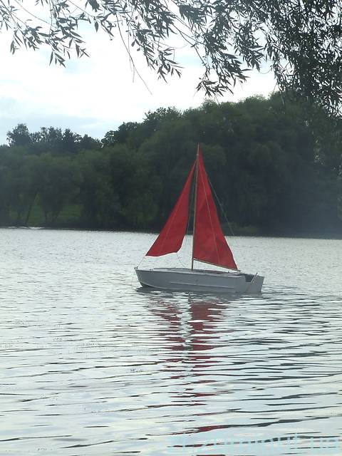 На фестивалі "Купальські роси" житомиряни цвіт папороті не знайшли, фото №19 на сайті 20minut.ua