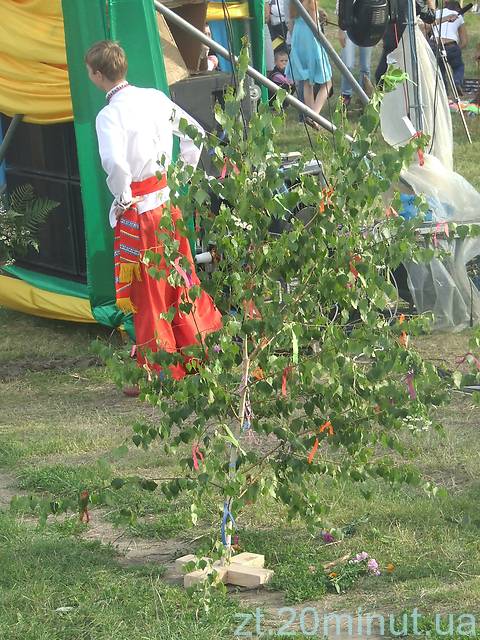 На фестивалі "Купальські роси" житомиряни цвіт папороті не знайшли, фото №31 на сайті 20minut.ua