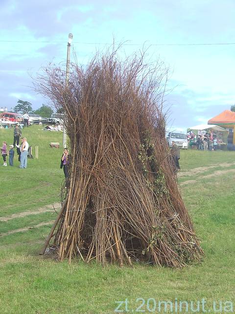 На фестивалі "Купальські роси" житомиряни цвіт папороті не знайшли, фото №41 на сайті 20minut.ua