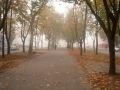 Фотоконкурс «Я люблю Вінницю» продовжено до 15 жовтня, фото №36 на сайті 20minut.ua