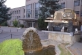 Фотоконкурс «Я люблю Вінницю» продовжено до 15 жовтня, фото №77 на сайті 20minut.ua