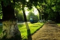 Фотоконкурс «Я люблю Вінницю» продовжено до 15 жовтня, фото №82 на сайті 20minut.ua