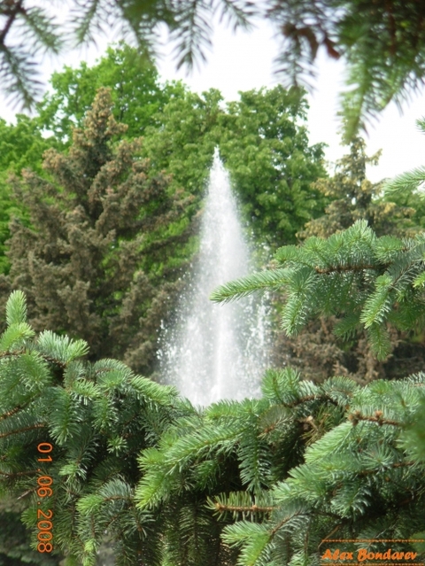 Конкурс "Я люблю Вінницю": фото від Олександра Бондарєва, фото №1 на сайті 20minut.ua