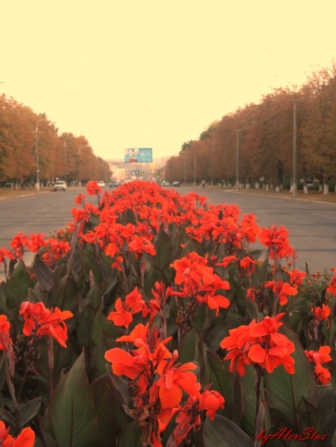 Конкурс "Я люблю Вінницю": фото від Олександра Стасюка, фото №10 на сайті 20minut.ua