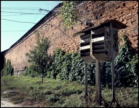 Конкурс "Я люблю Вінницю": фото від Ірини Токаренко, фото №2 на сайті 20minut.ua