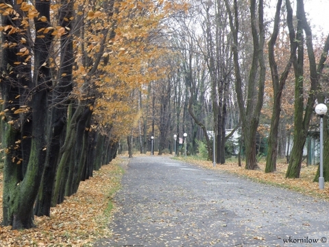 Конкурс "Я люблю Вінницю": фото від Дениса Михайловича, фото №4 на сайті 20minut.ua