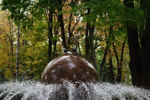 Конкурс "Я люблю Вінницю": фото від Олександра Вороняка, фото №6 на сайті 20minut.ua