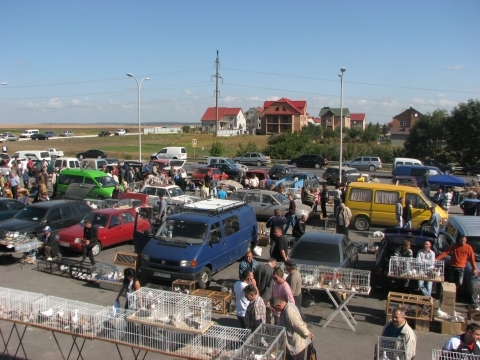 На пташиному ярмарку у Тернополі - кури, гуси, голуби і навіть кролі, фото №1 на сайті 20minut.ua