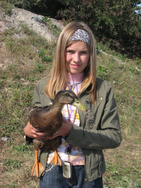 На пташиному ярмарку у Тернополі - кури, гуси, голуби і навіть кролі, фото №3 на сайті 20minut.ua