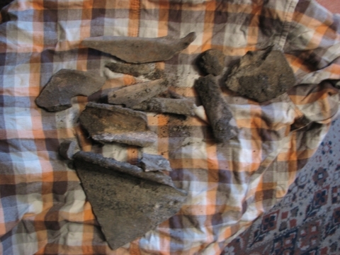 У Тернополі людські кістки викопали біля пісочниці, фото №1 на сайті 20minut.ua