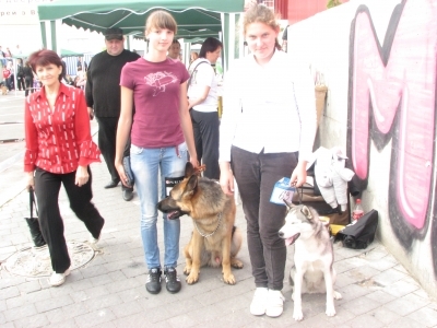 У Тернополі шукали собак-чемпіонів , фото №1 на сайті 20minut.ua