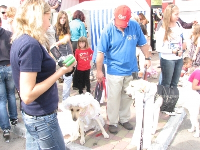 У Тернополі шукали собак-чемпіонів , фото №3 на сайті 20minut.ua
