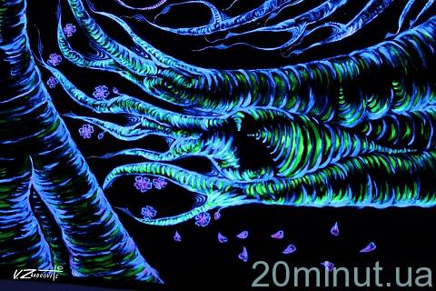 В Житомирі у "Кавоманії" вдруге відкрилась виставка флюорного мистецтва на сайті 20minut.ua В Житомирі у "Кавоманії" вдруге відкрилась виставка флюорного мистецтва, фото №14 на сайті 20minut.ua