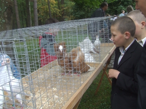 Благодійники Житомира зібрали понад 4 тисячі памперсів для сиріт, фото №2 на сайті 20minut.ua