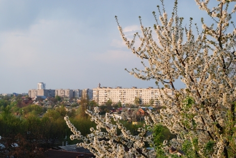 Конкурс "Я люблю Вінницю": фото від Олександра Ніцевича, фото №3 на сайті 20minut.ua
