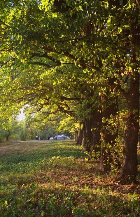 Конкурс "Я люблю Вінницю": фото від Валерії Панченко, фото №6 на сайті 20minut.ua