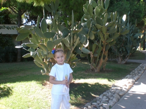 Восьмирічна тернополянка Яна Сорока серед світових красунь, фото №5 на сайті 20minut.ua