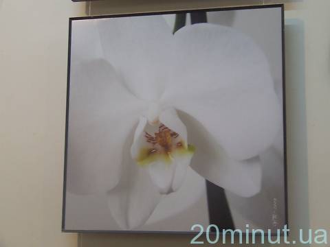 Архітектор Юрій Пісковський привіз в Житомир фотовиставку вартістю кілька тисяч гривень на сайті 20minut.ua Архітектор Юрій Пісковський привіз в Житомир фотовиставку вартістю кілька тисяч гривень, фото №2 на сайті 20minut.ua