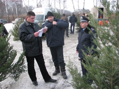 Новини Тернополя: Трьох оштрафували, а в одного ще й ялинки вилучили на сайті 20minut.ua Новини Тернополя: Трьох оштрафували, а в одного ще й ялинки вилучили, фото №1 на сайті 20minut.ua