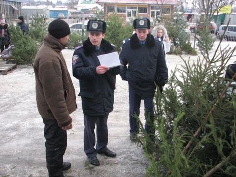 Новини Тернополя: Трьох оштрафували, а в одного ще й ялинки вилучили на сайті 20minut.ua Новини Тернополя: Трьох оштрафували, а в одного ще й ялинки вилучили, фото №2 на сайті 20minut.ua