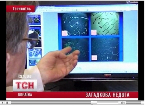 Тернопольские «Моргеллоны» Виннице не страшны, фото №4 на сайті 20minut.ua
