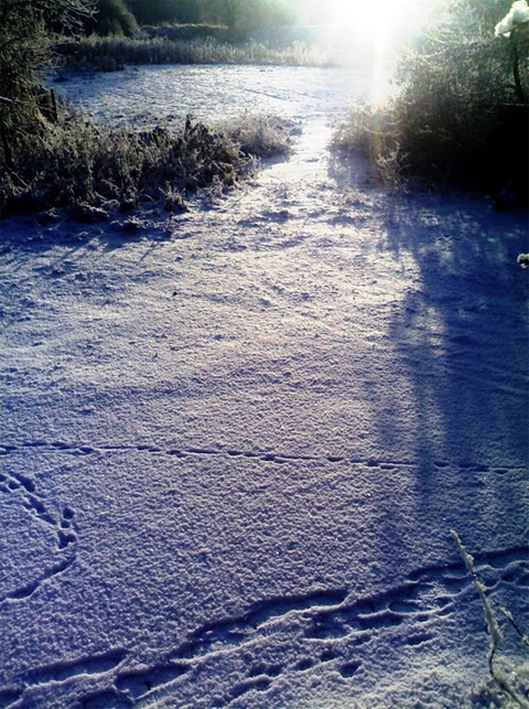 Винница: снег укутал город в Новогоднюю ночь на сайті 20minut.ua Винница: снег укутал город в Новогоднюю ночь, фото №1 на сайті 20minut.ua