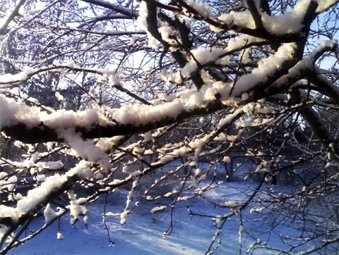 Винница: снег укутал город в Новогоднюю ночь на сайті 20minut.ua Винница: снег укутал город в Новогоднюю ночь, фото №2 на сайті 20minut.ua