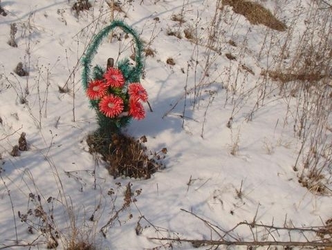 Знайшли винного у смерті пішохода, якого збили на "Хонді" у Вінницькій області, фото №3 на сайті 20minut.ua