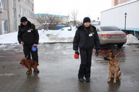 На Хмельниччині чотирилапі “митники” шукали наркотики в автомобілях і речах, фото №1 на сайті vsim.ua