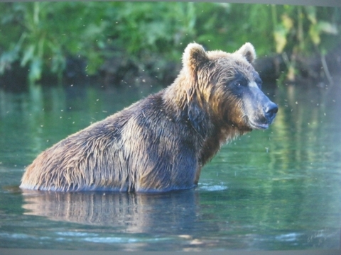 У Хмельницькому відкрилася вражаюча фотовиставка , фото №2 на сайті vsim.ua