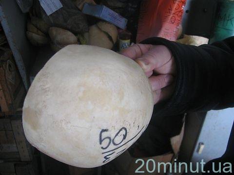 Тайны и кошмары винницкого морга , фото №2 на сайті 20minut.ua