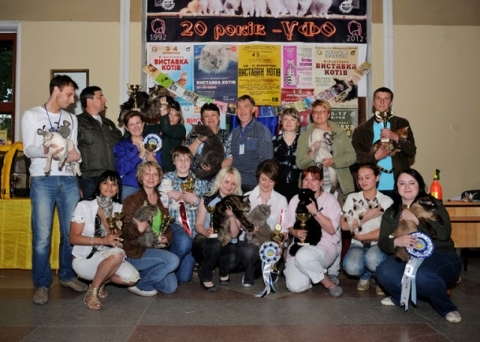 У Тернополі вже є об'єднання любителів котів на сайті 20minut.ua У Тернополі вже є об'єднання любителів котів , фото №2 на сайті 20minut.ua