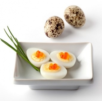 Употребление в пищу перпелиних яиц поможет житомирянам укрепить свой организм, фото №1 на сайті 20minut.ua