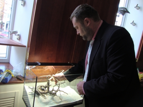 У Хмельницькому показують акваріуми, щоб допомогти дітям, фото №2 на сайті vsim.ua