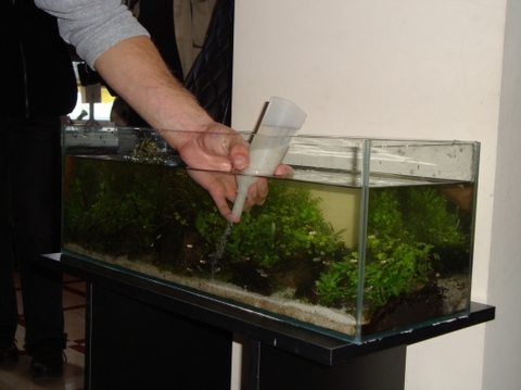 У Хмельницькому показують акваріуми, щоб допомогти дітям, фото №3 на сайті vsim.ua