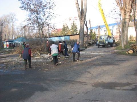  Фото дня: у парку “Шевченка” обрізають дерева, фото №1 на сайті 20minut.ua