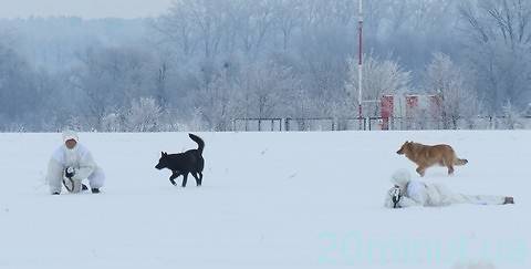Хмельницкий спецназ захватил Гавришовку, фото №23 на сайті 20minut.ua