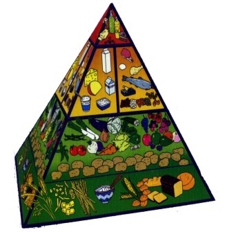 Тернопіль: коли шлунок шле сигнал sos після бучних свят на сайті 20minut.ua Тернопіль: коли шлунок шле сигнал sos після бучних свят, фото №2 на сайті 20minut.ua