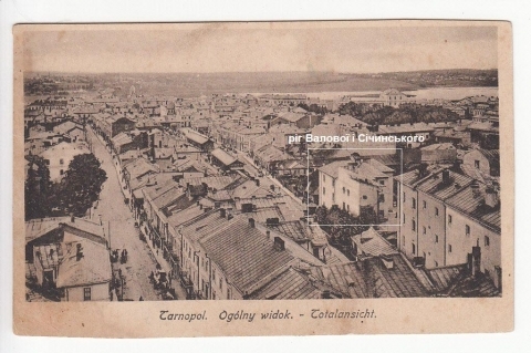 Тернопільському краєзнавчому виповнюється 100 років, фото №1 на сайті 20minut.ua
