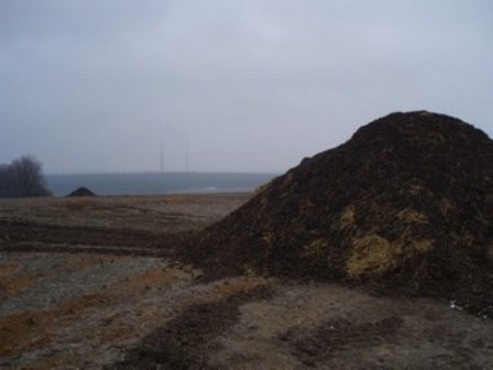 Передмістя Ладижина може стати зоною відчуження на сайті 20minut.ua Передмістя Ладижина може стати зоною відчуження , фото №3 на сайті 20minut.ua