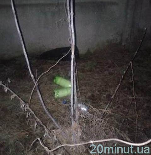 У Вінницькій області в колонію мобільні телефони кидають через загорожу , фото №1 на сайті 20minut.ua