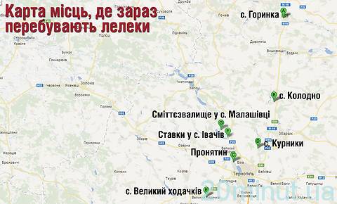 Лелеки чекають весну на річках, озерах, навіть на сміттєзвалищах (КАРТА) на сайті 20minut.ua Лелеки чекають весну на річках, озерах, навіть на сміттєзвалищах (КАРТА), фото №1 на сайті 20minut.ua
