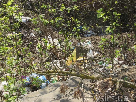 На одне стихійне звалище менше або Як на Виставці сміття прибирали, фото №1 на сайті vsim.ua