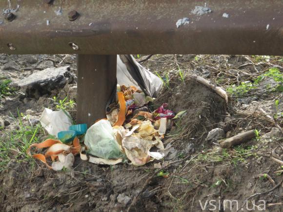На одне стихійне звалище менше або Як на Виставці сміття прибирали, фото №8 на сайті vsim.ua