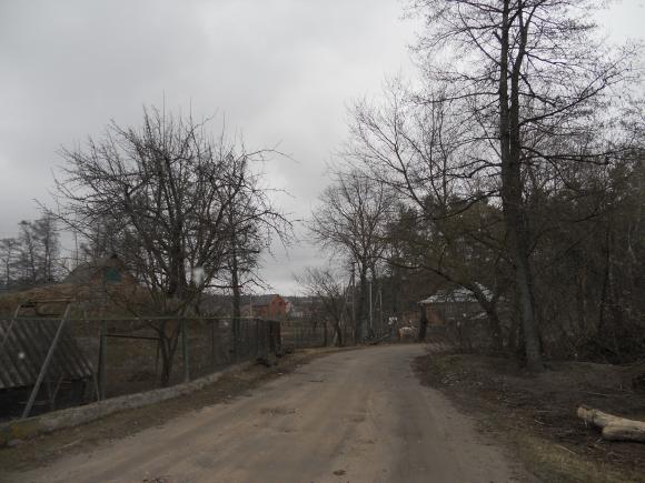 У Приборівці нема де рибалити. Люди кажуть :"Ставок вкрали", фото №4 на сайті 20minut.ua