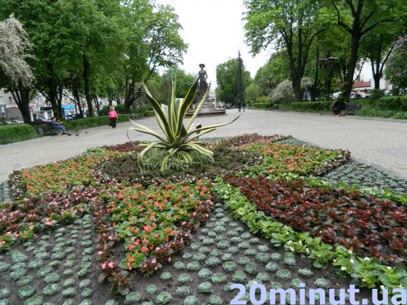 Фото дня: Біля пам'ятника Крушельницькій висадили агаву, фото №1 на сайті 20minut.ua