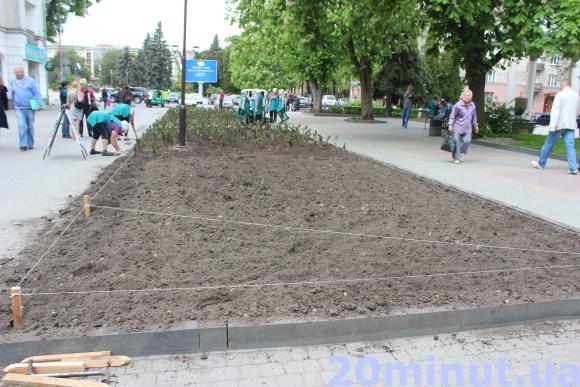 Фото дня: На Сагайдачного саджають канни, фото №2 на сайті 20minut.ua
