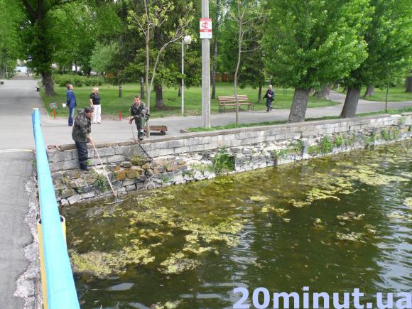 Фото дня: Водойми в парку ім. Шевченка чистять від водоростей, фото №1 на сайті 20minut.ua